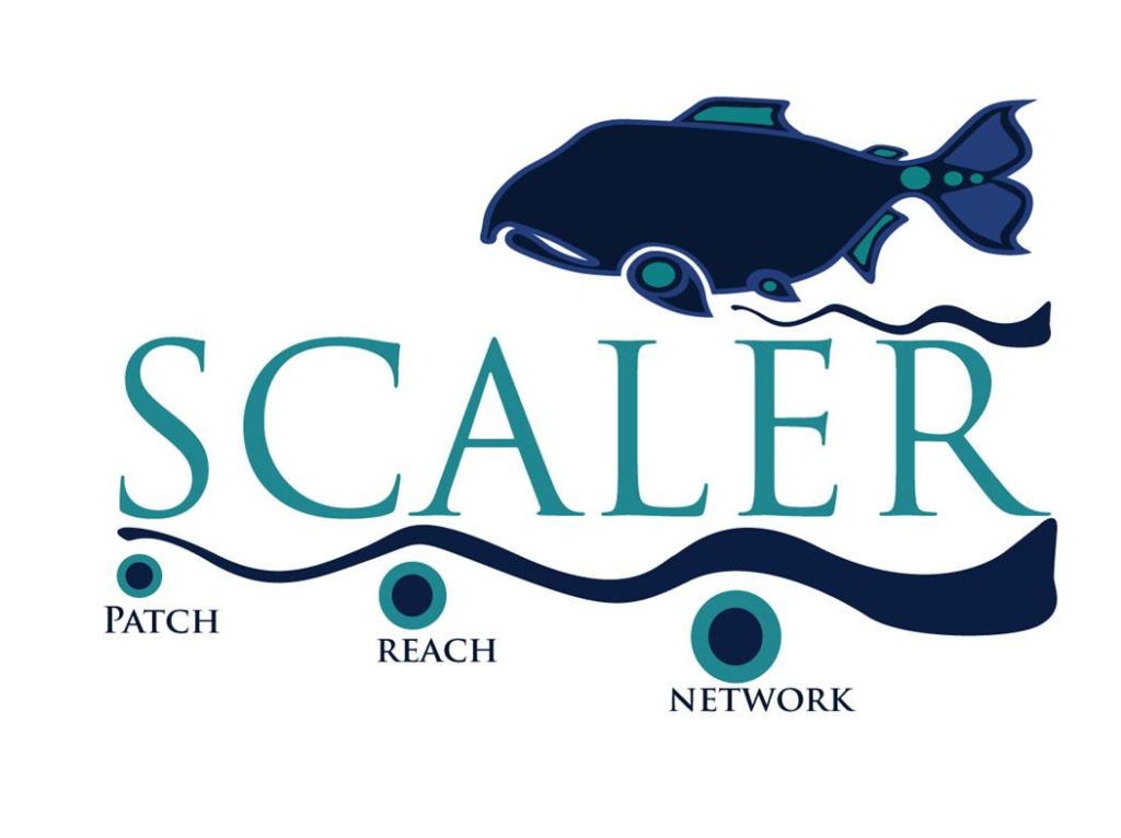 graphic with fish with words "scaler," "patch," "reach", and "network"