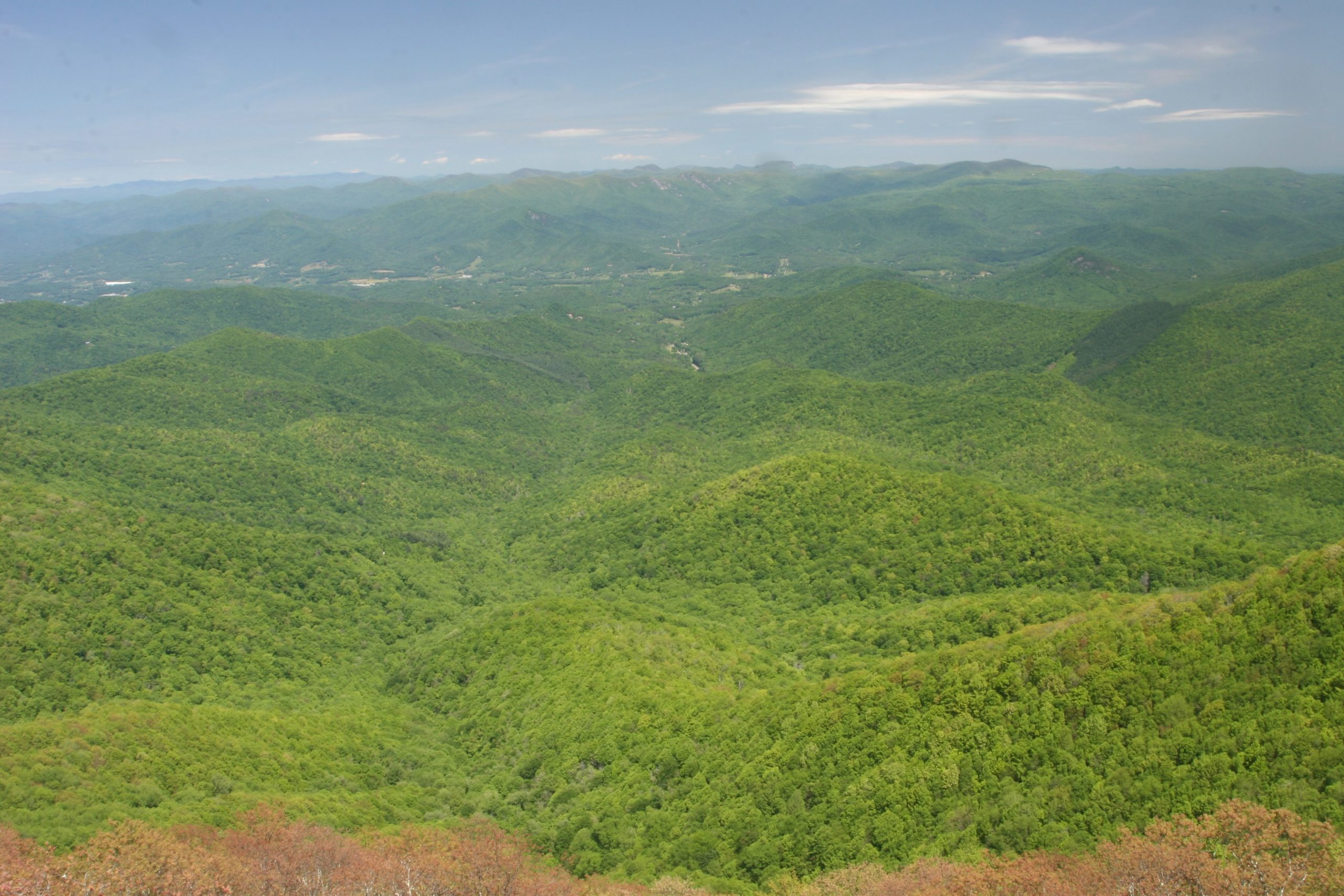 view of mountainous forest