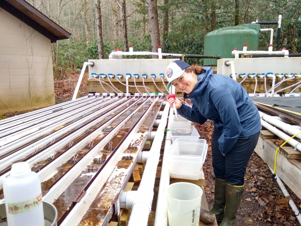 researcher stands along experimental channels holding pipette