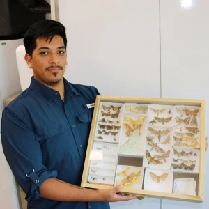 person holding butterfly collection