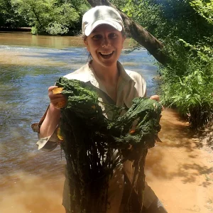 person holding algae